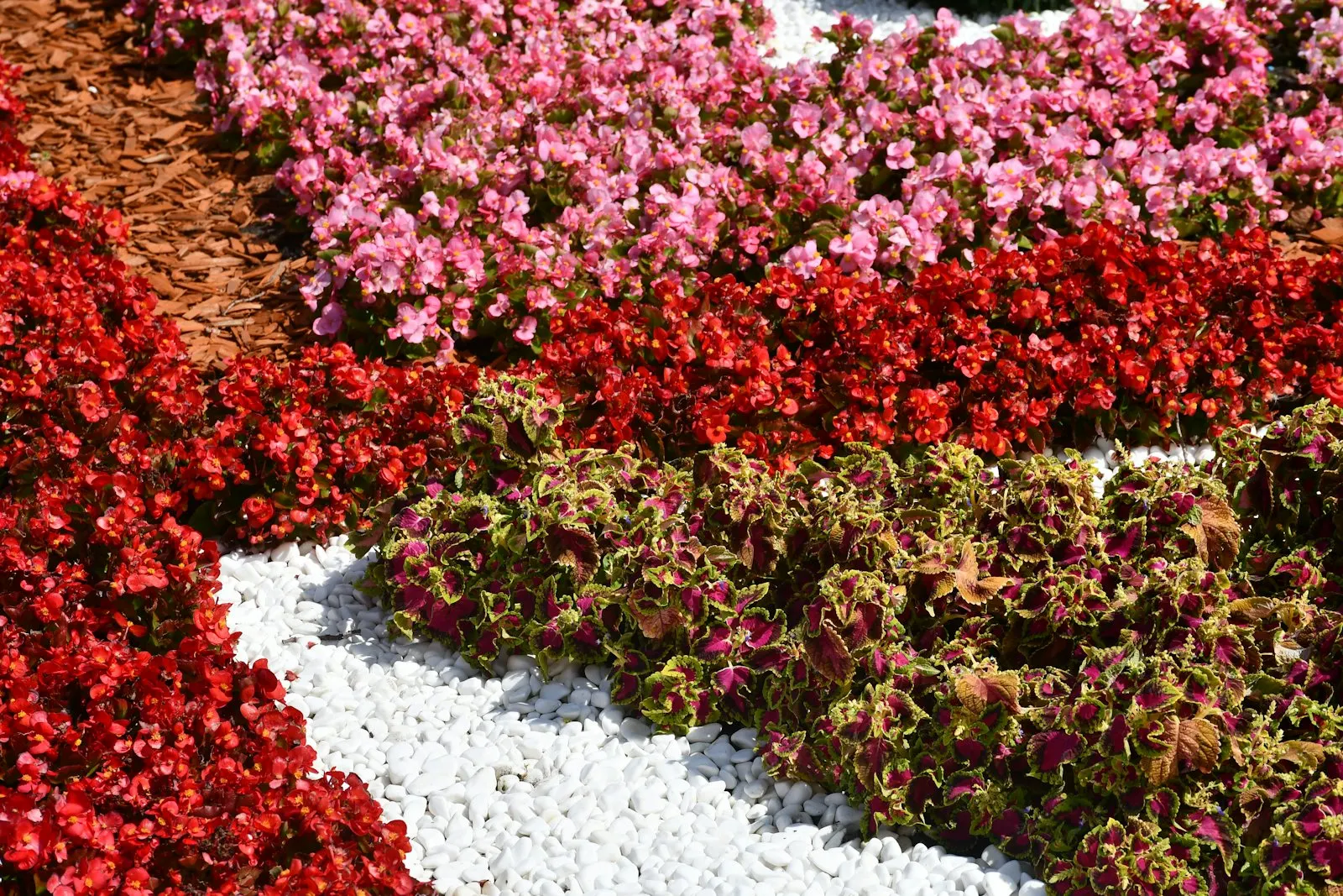 Mixed garden bed with hostas, salvia, and ornamental grasses against a brick foundation.